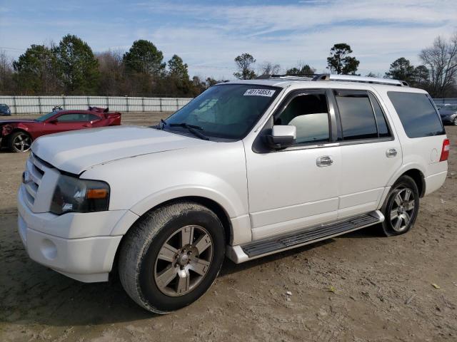 FORD EXPEDITION 2009 with VIN 1FMFU19519LA09560 - Photo from auction