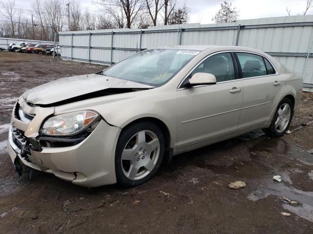 CHEVROLET MALIBU 2LT 2010 with VIN 1G1ZD5E73AF255764 - Photo from auction