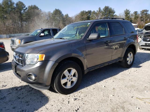 FORD ESCAPE XLT 2011 with VIN 1FMCU0DGXBKC43780 - Photo from auction