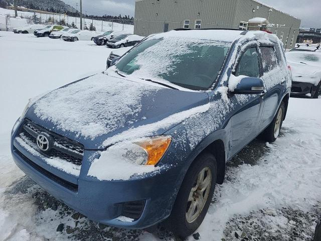 TOYOTA RAV4 2010 with VIN 2T3BF4DV7AW044739 - Photo from auction