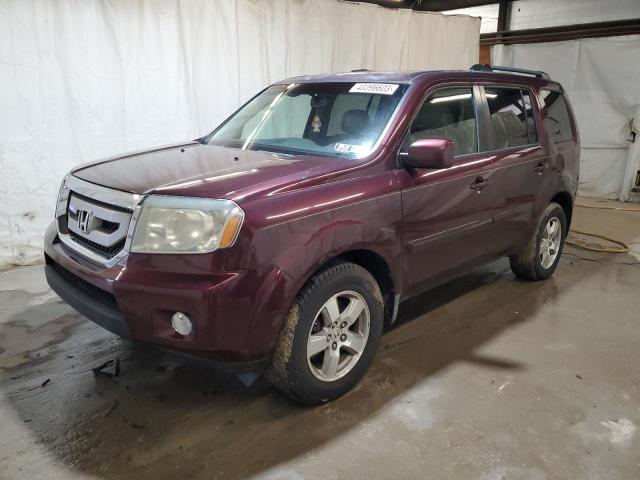 HONDA PILOT EXL 2009 with VIN 5FNYF48629B042654 - Photo from auction