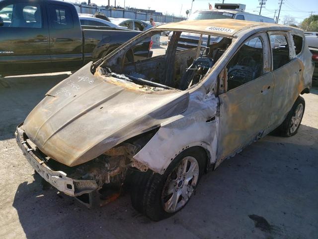 FORD ESCAPE S 2016 with VIN 1FMCU0F72GUC43734 - Photo from auction