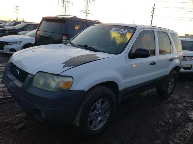 FORD ESCAPE XLS 2006 with VIN 1FMYU02Z36KD53750 - Photo from auction