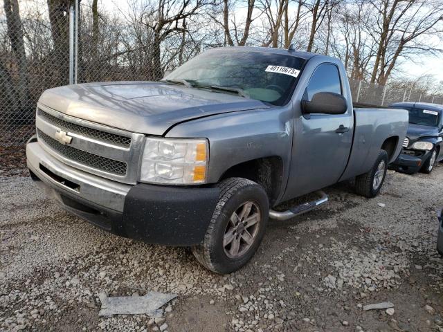 CHEVROLET SILVERADO 2009 with VIN 1GCEC14X59Z183043 - Photo from auction
