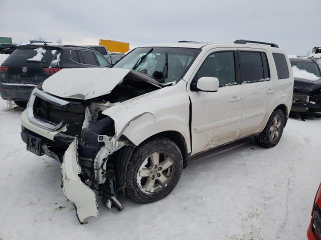 HONDA PILOT EXL 2011 with VIN 5FNYF4H58BB503563 - Photo from auction