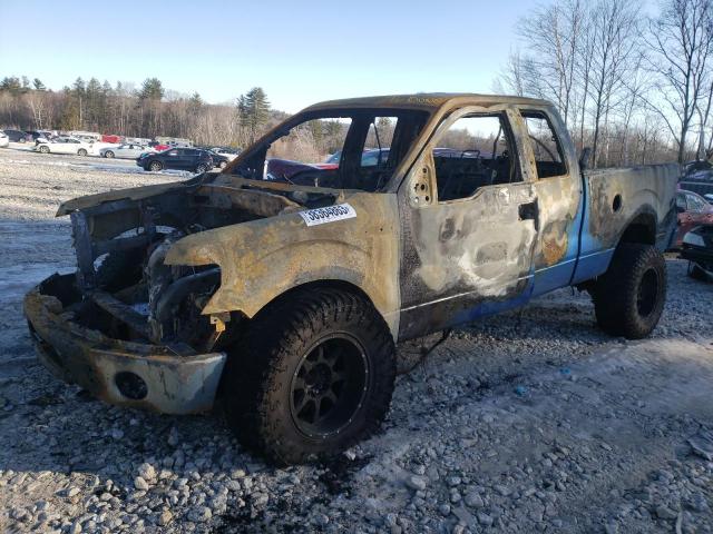 FORD F150 SUPER 2013 with VIN 1FTFX1EF2DFB21334 - Photo from auction
