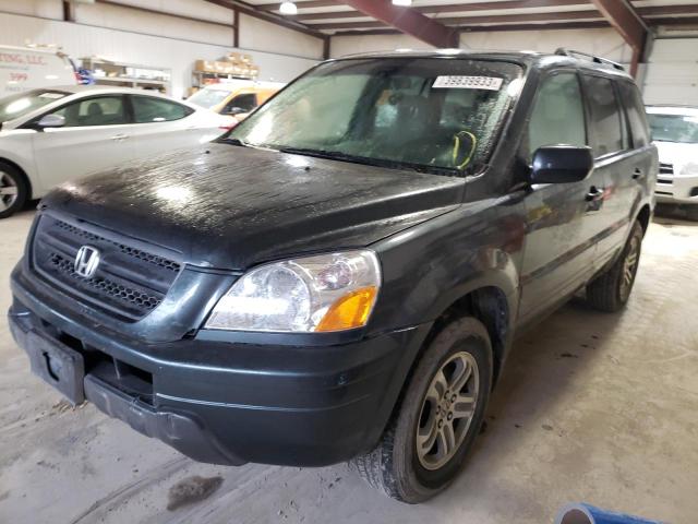 HONDA PILOT EX 2005 with VIN 5FNYF18485B012842 - Photo from auction
