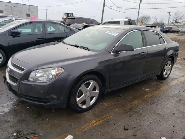 CHEVROLET MALIBU LS 2011 with VIN 1G1ZB5E13BF312905 - Photo from auction
