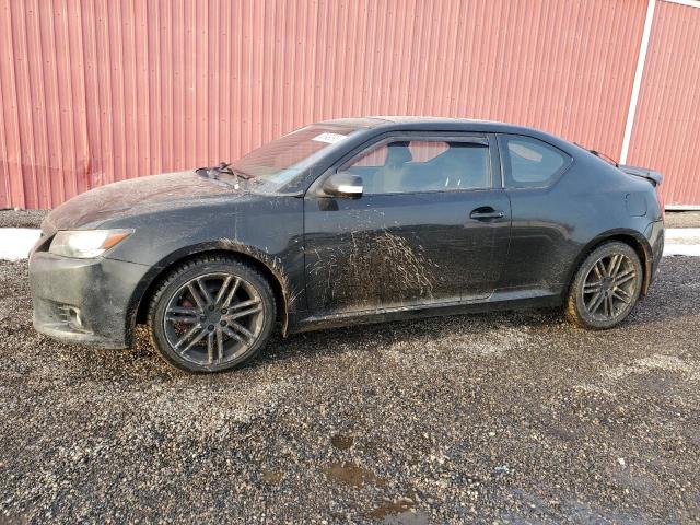 TOYOTA SCION TC 2012 with VIN JTKJF5C73C3036642 - Photo from auction