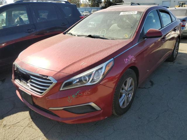 HYUNDAI SONATA SE 2016 with VIN 5NPE24AF2GH346249 - Photo from auction