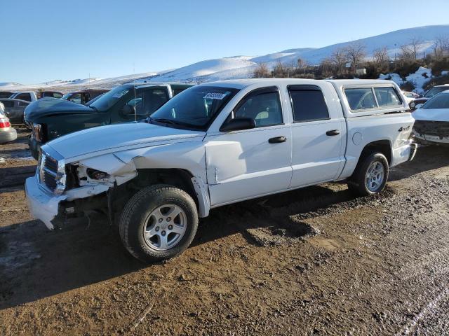 DODGE DAKOTA QUA 2007 with VIN 1D7HW48N57S108207 - Photo from auction