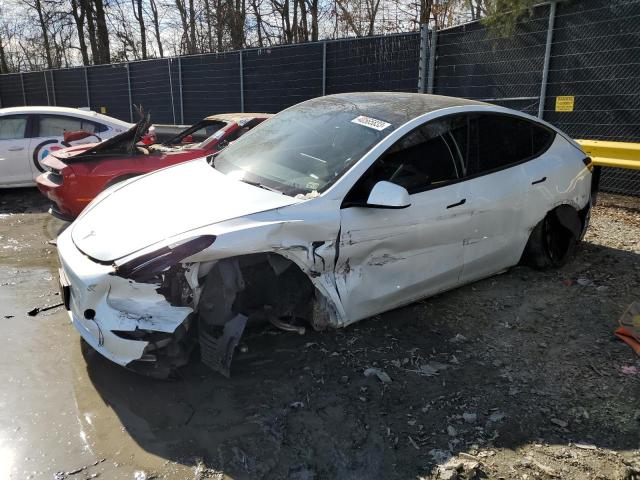 TESLA MODEL Y 2021 with VIN 5YJYGDEE4MF278644 - Photo from auction