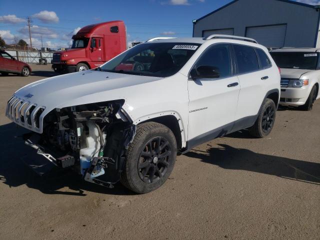 JEEP CHEROKEE L 2018 with VIN 1C4PJLCB2JD573244 - Photo from auction