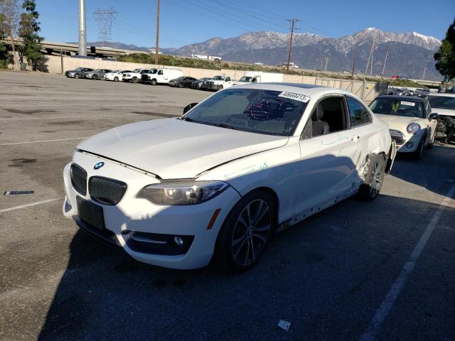 BMW 228 I 2015 with VIN WBA1F5C56FV256725 - Photo from auction