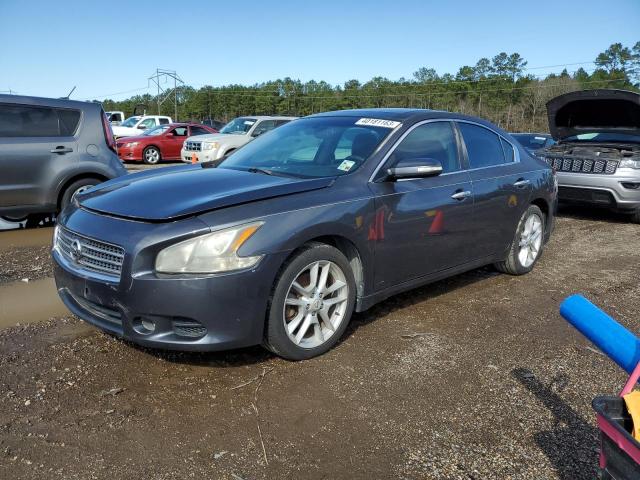 NISSAN MAXIMA S 2009 with VIN 1N4AA51E09C809556 - Photo from auction