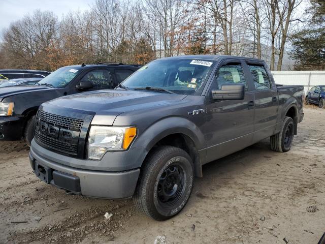 FORD F150 SUPER 2010 with VIN 1FTEW1E86AFD82669 - Photo from auction
