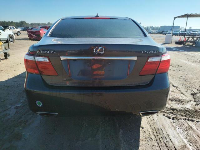 Photo 6 from auction – 2009 LEXUS LS 460 with VIN JTHBL46F495084759