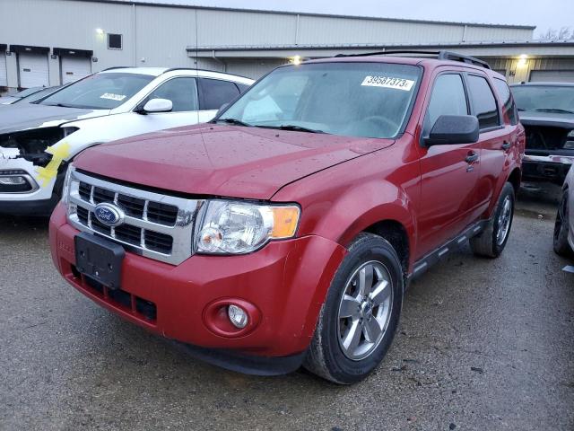 FORD ESCAPE XLT 2010 with VIN 1FMCU0D74AKD11151 - Photo from auction