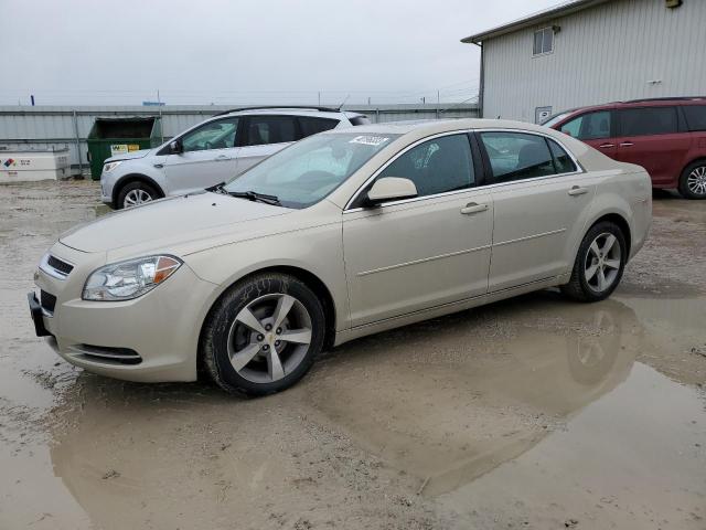 Photo 1 from auction – 2011 CHEVROLET MALIBU 1LT with VIN 1G1ZC5E19BF206214