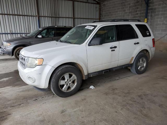 FORD ESCAPE XLT 2010 with VIN 1FMCU0D72AKA95798 - Photo from auction