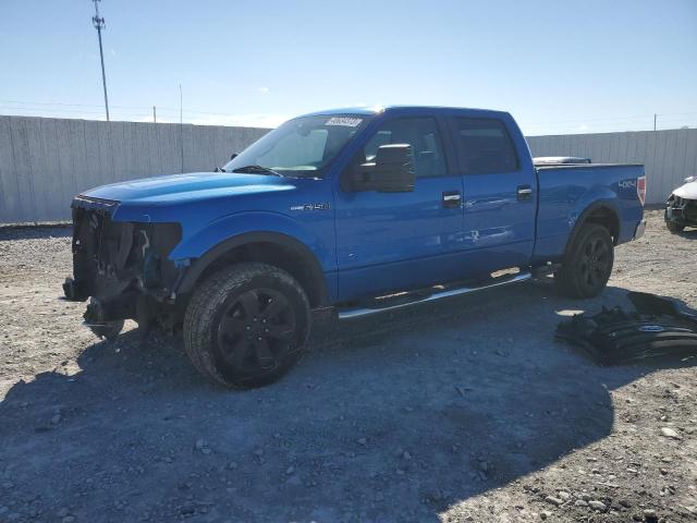 FORD F150 SUPER 2009 with VIN 1FTPW14V99FA20413 - Photo from auction