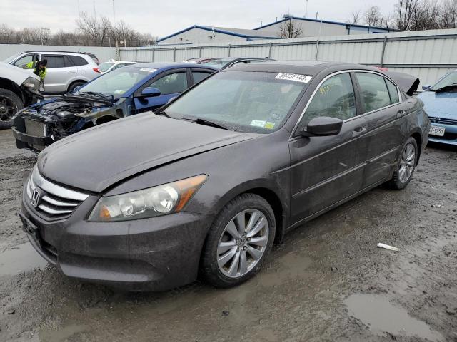 HONDA ACCORD EXL 2011 with VIN 1HGCP2F81BA033587 - Photo from auction
