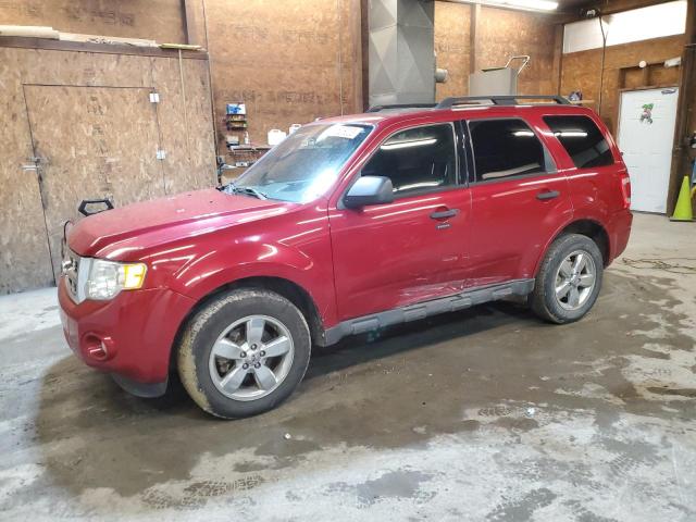 FORD ESCAPE XLT 2010 with VIN 1FMCU9DG7AKD43984 - Photo from auction