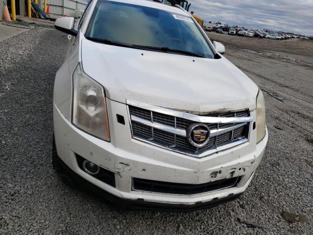 Photo 5 from auction – 2010 CADILLAC SRX PERFOR with VIN 3GYFNBEY5AS560218