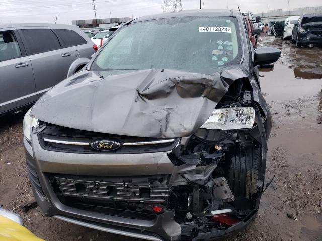 Photo 5 from auction – 2013 FORD ESCAPE SE with VIN 1FMCU0GX2DUD08124