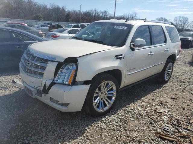 CADILLAC ESCALADE P 2014 with VIN 1GYS3DEF6ER104042 - Photo from auction