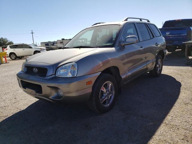HYUNDAI SANTA FE G 2002 with VIN KM8SC13D02U317773 - Photo from auction