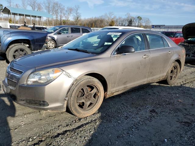 CHEVROLET MALIBU LS 2012 with VIN 1G1ZB5E07CF174052 - Photo from auction