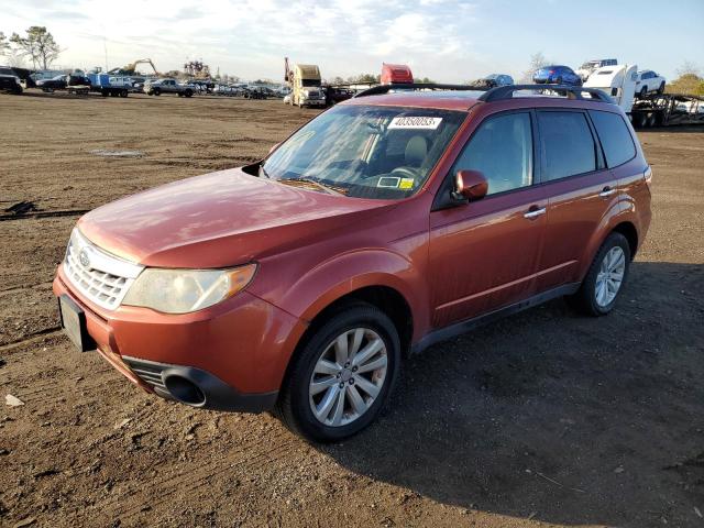 SUBARU FORESTER 2 2011 with VIN JF2SHADC2BH753739 - Photo from auction