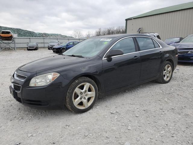 CHEVROLET MALIBU LS 2011 with VIN 1G1ZB5E10BF285484 - Photo from auction