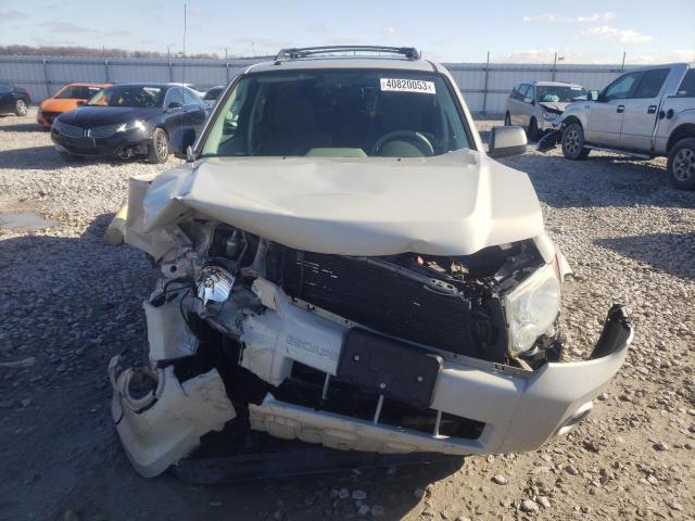 Photo 5 from auction – 2009 FORD ESCAPE XLT with VIN 1FMCU93799KB40219