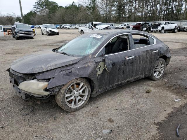 NISSAN MAXIMA S 2010 with VIN 1N4AA5AP5AC849878 - Photo from auction