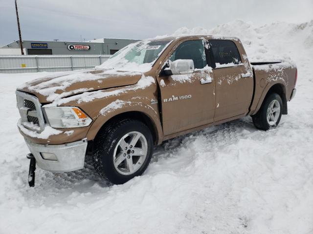DODGE RAM 1500 L 2012 with VIN 1C6RD7NT1CS204541 - Photo from auction