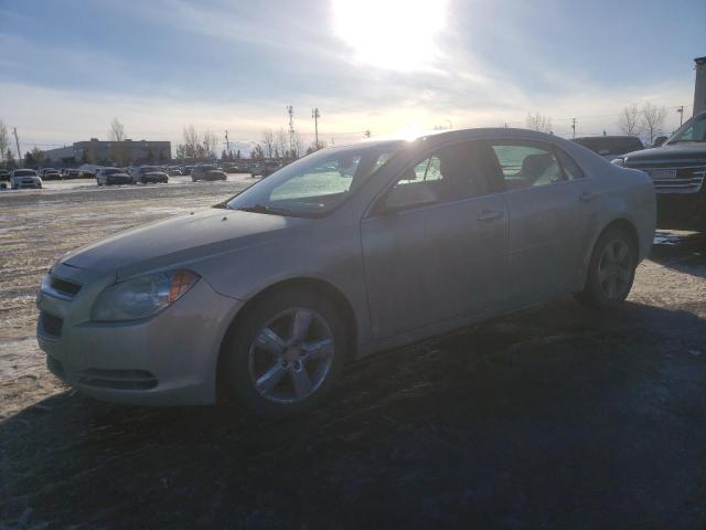 CHEVROLET MALIBU 2LT 2010 with VIN 1G1ZD5E09AF204627 - Photo from auction
