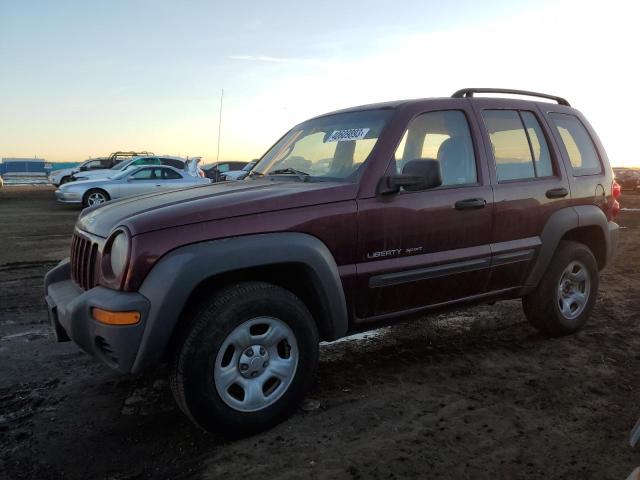 Photo 1 from auction – 2003 JEEP LIBERTY SP with VIN 1J4GL48K73W661457