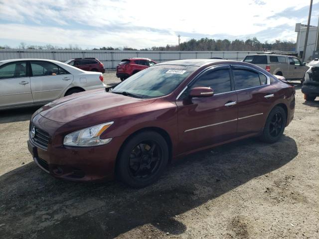 NISSAN MAXIMA S 2010 with VIN 1N4AA5AP4AC813065 - Photo from auction