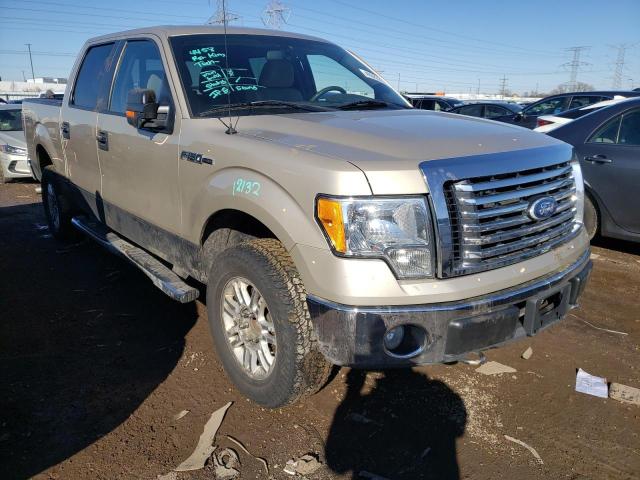 Photo 4 from auction – 2010 FORD F150 SUPER with VIN 1FTEW1E88AFD23638