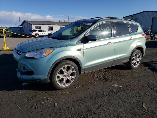 FORD ESCAPE SEL 2013 with VIN 1FMCU9H99DUA75928 - Photo from auction