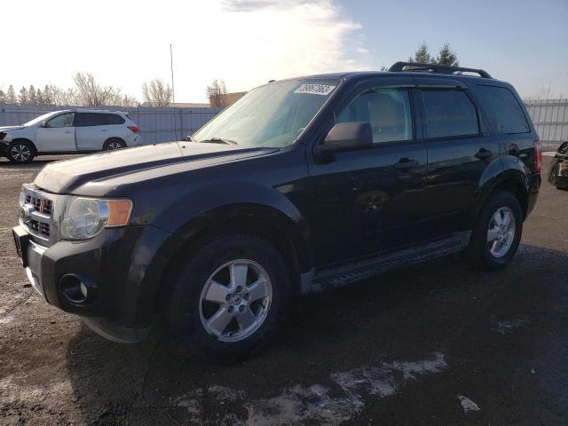 FORD ESCAPE XLT 2010 with VIN 1FMCU9DG6AKD22480 - Photo from auction