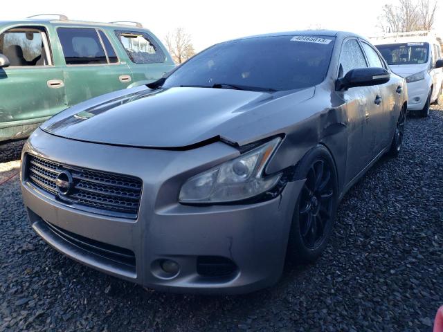 NISSAN MAXIMA S 2010 with VIN 1N4AA5APXAC863971 - Photo from auction