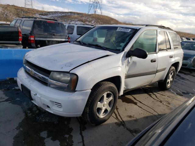 CHEVROLET TRAILBLAZE 2005 with VIN 1GNDT13S652307266 - Photo from auction