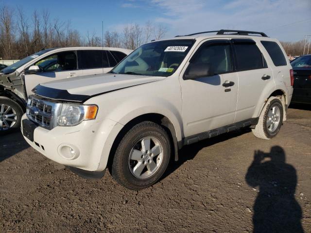 Photo 1 from auction – 2009 FORD ESCAPE XLT with VIN 1FMCU93G19KD13487