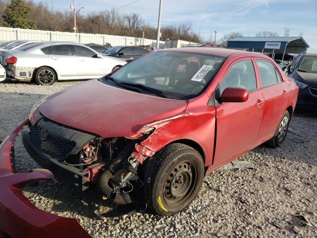 TOYOTA COROLLA BA 2010 with VIN 2T1BU4EE0AC533854 - Photo from auction
