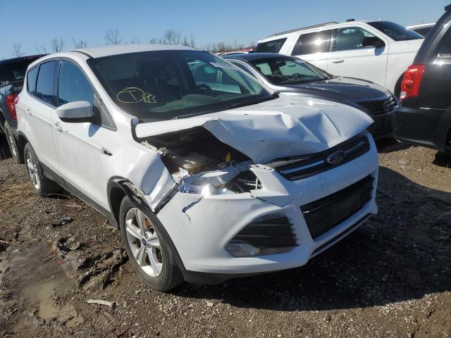 Photo 4 from auction – 2014 FORD ESCAPE SE with VIN 1FMCU0GX4EUD58153