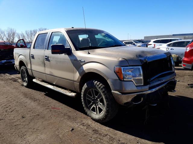 Photo 4 from auction – 2013 FORD F150 SUPER with VIN 1FTFW1EF4DKD26051
