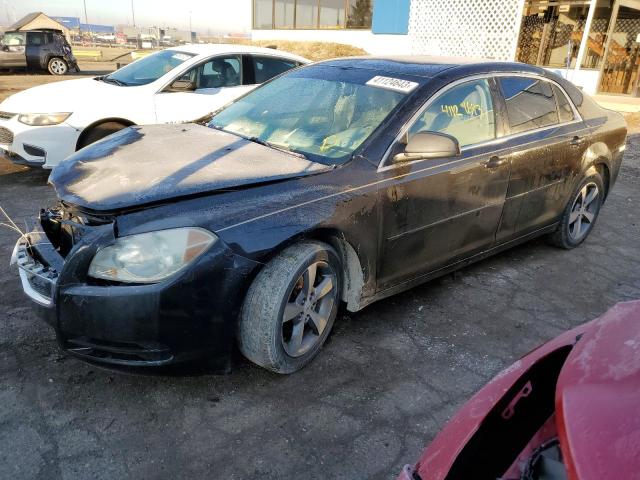 CHEVROLET MALIBU LS 2012 with VIN 1G1ZB5E04CF175692 - Photo from auction